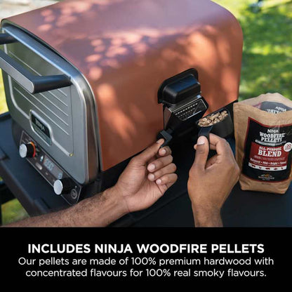 Ninja Woodfire Electric Outdoor Oven, Artisan Pizza Maker and BBQ Smoker